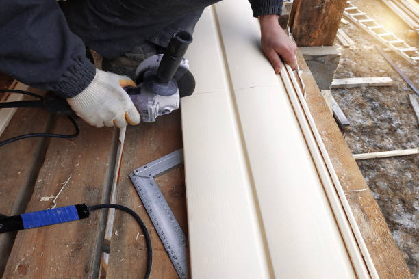 Best Steel Siding Installation  in Mcmechen, WV